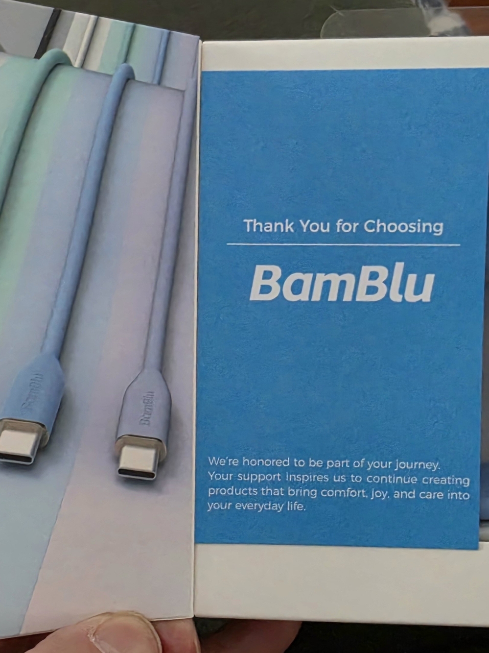 Snap USB-C Cable in Pale Blue